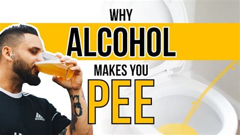 How to stop peeing so much when drinking alcohol. Things To Know About How to stop peeing so much when drinking alcohol. 